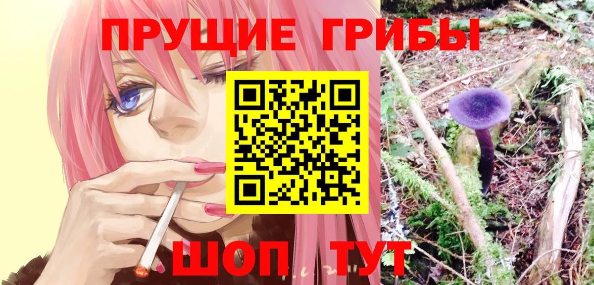 Псилоцибиновые грибы Psilocybe  Вход с VPN  Крымск  Галлюциногенные грибы Cubensis 