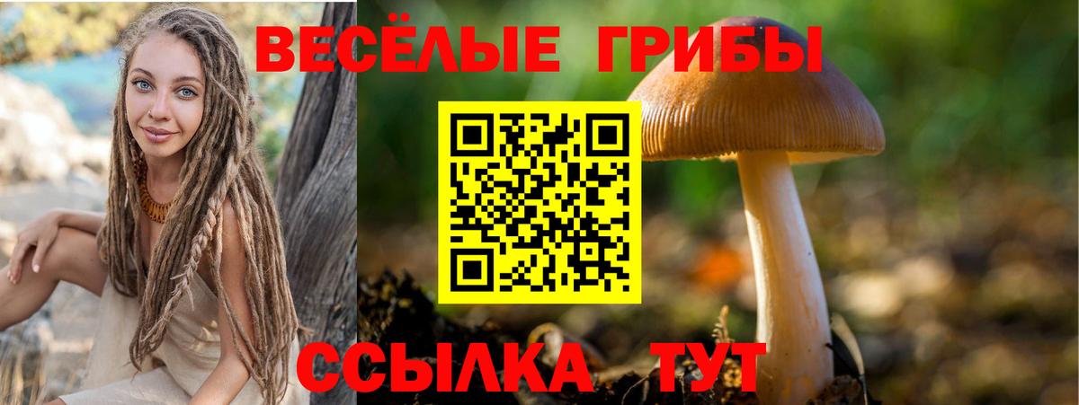 Галлюциногенные грибы MAGIC MUSHROOMS Крымск